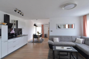 Apartment Bellevue